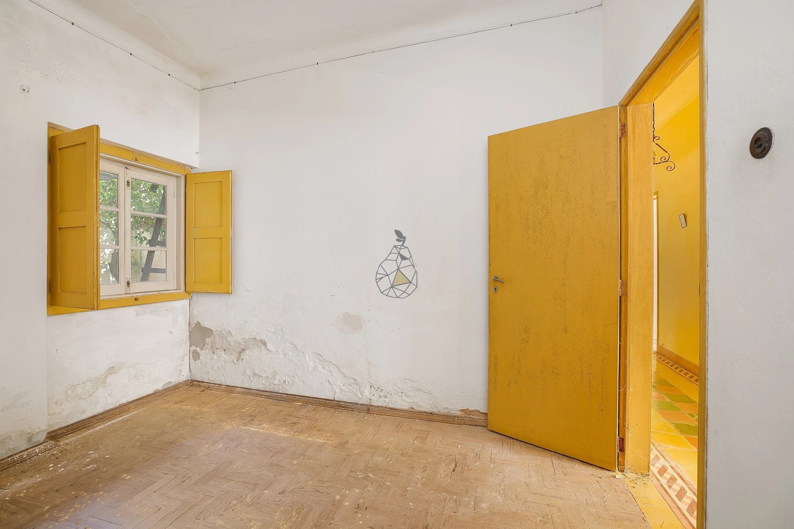 Photo by Pera Premium