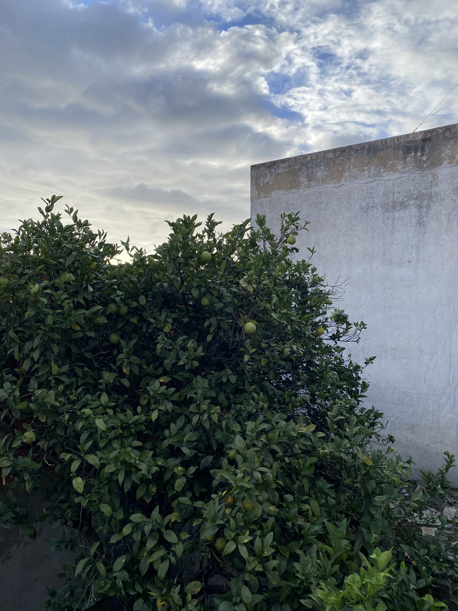 First Floor stair case repo